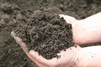 Loam & Compost mix