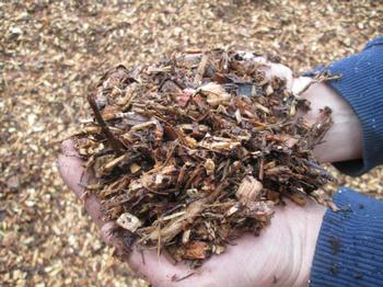 Natural Mulch