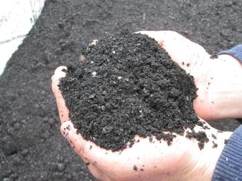 OMRI-listed NextChar BlaK Biochar Blend - $100 per yard